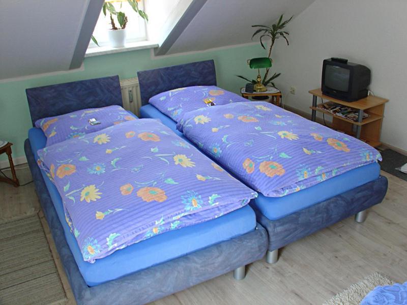 Hotel-Pension Koenigswald Dresden Ruang foto