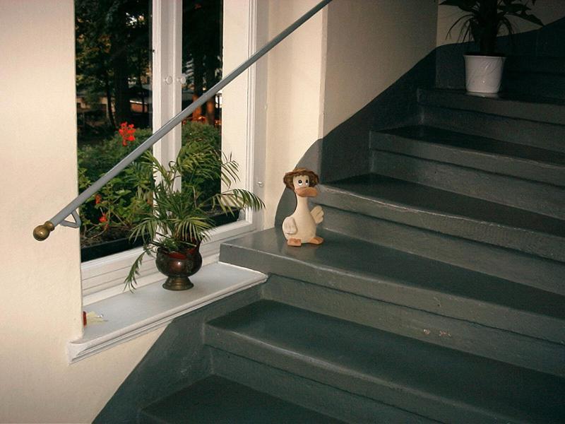 Hotel-Pension Koenigswald Dresden Bagian luar foto